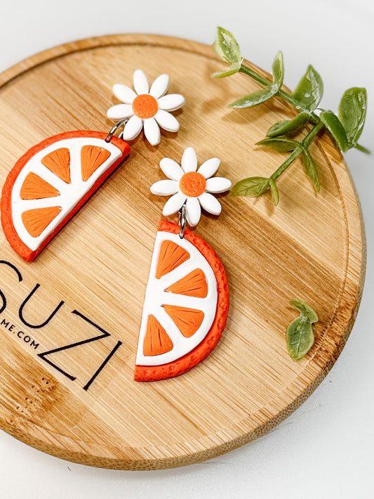 Fruit Orange Slice