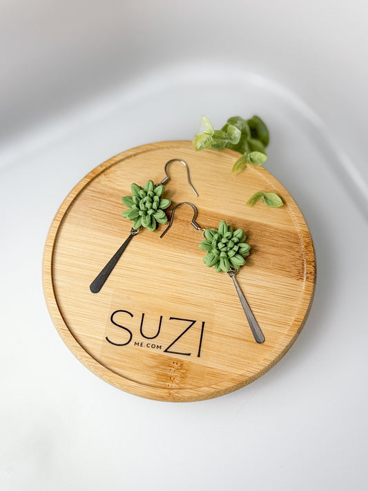 Succulent